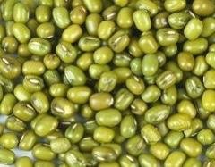 綠豆(港両)