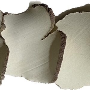 虎乳靈芝 (港两)