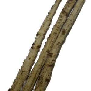 特級北沙參(港両)