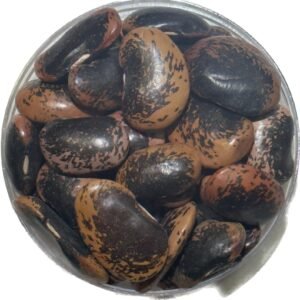 大黒雲豆(港両)